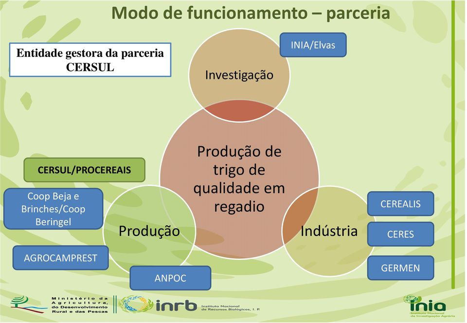 Brinches/Coop Beringel Produção Produção de trigo de