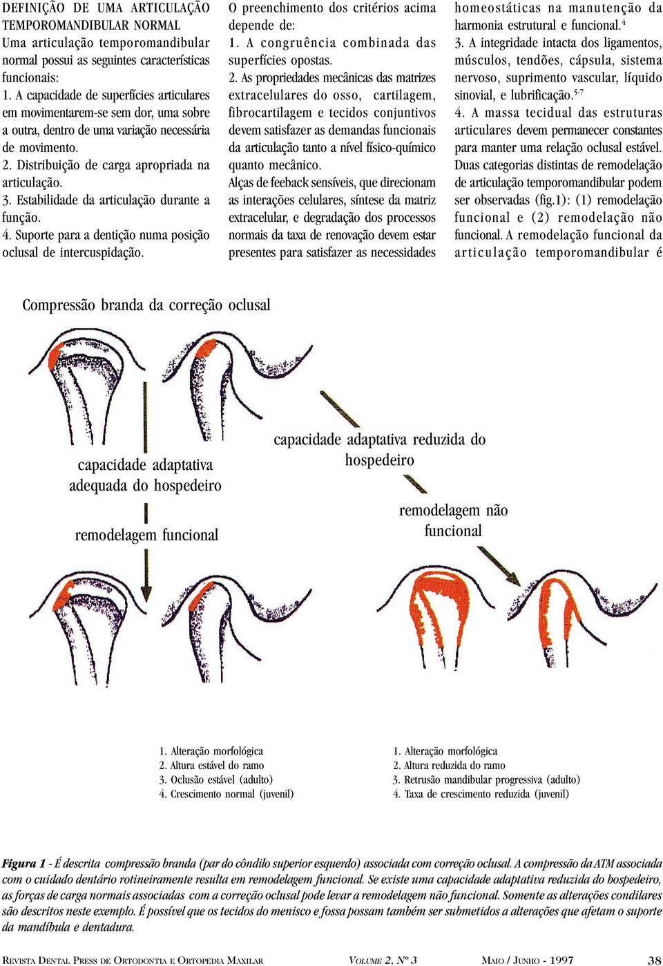 Estabilidade da articulação durante a função. 4. Suporte para a dentição numa posição oclusal de intercuspidação. O preenchimento dos critérios acima depende de: 1.