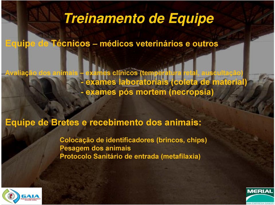 - exames pós mortem (necropsia) Equipe de Bretes e recebimento dos animais: Colocação de