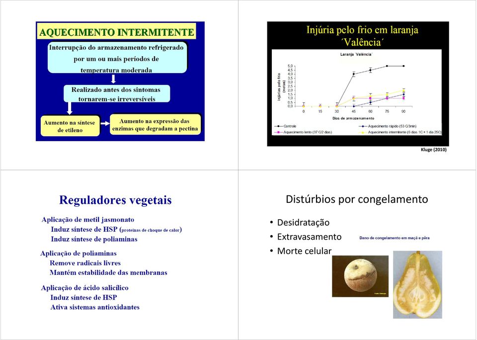 congelamento