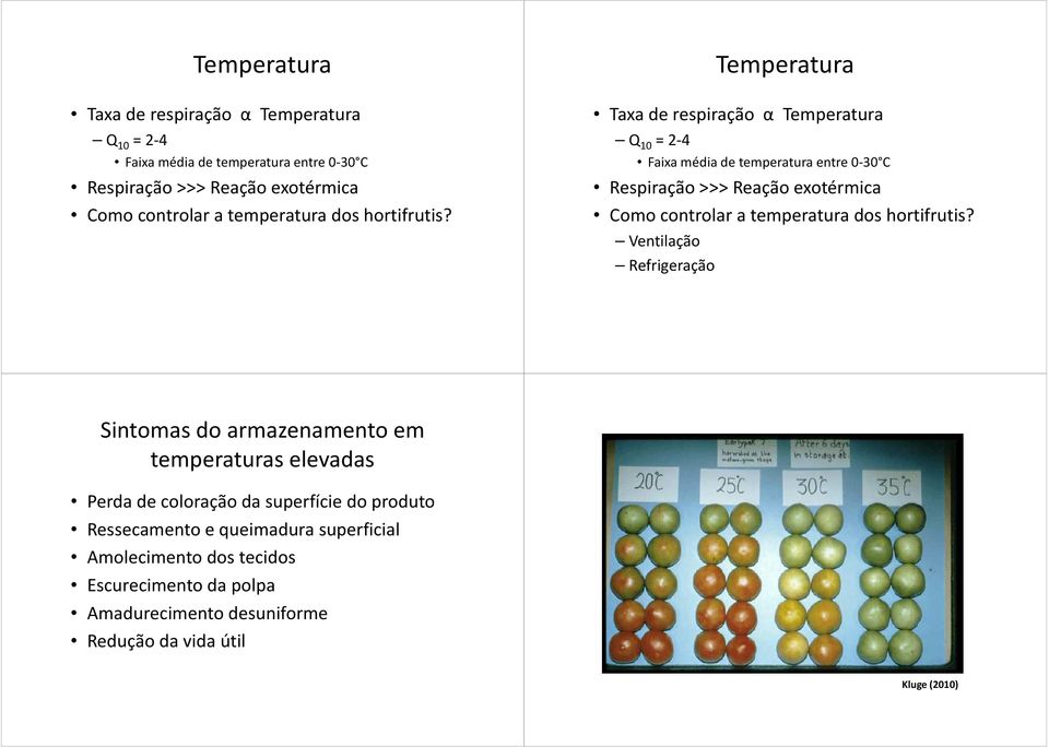 Ventilação Refrigeração s do armazenamento em temperaturas elevadas Perda de coloração da superfície do produto Ressecamento e queimadura superficial