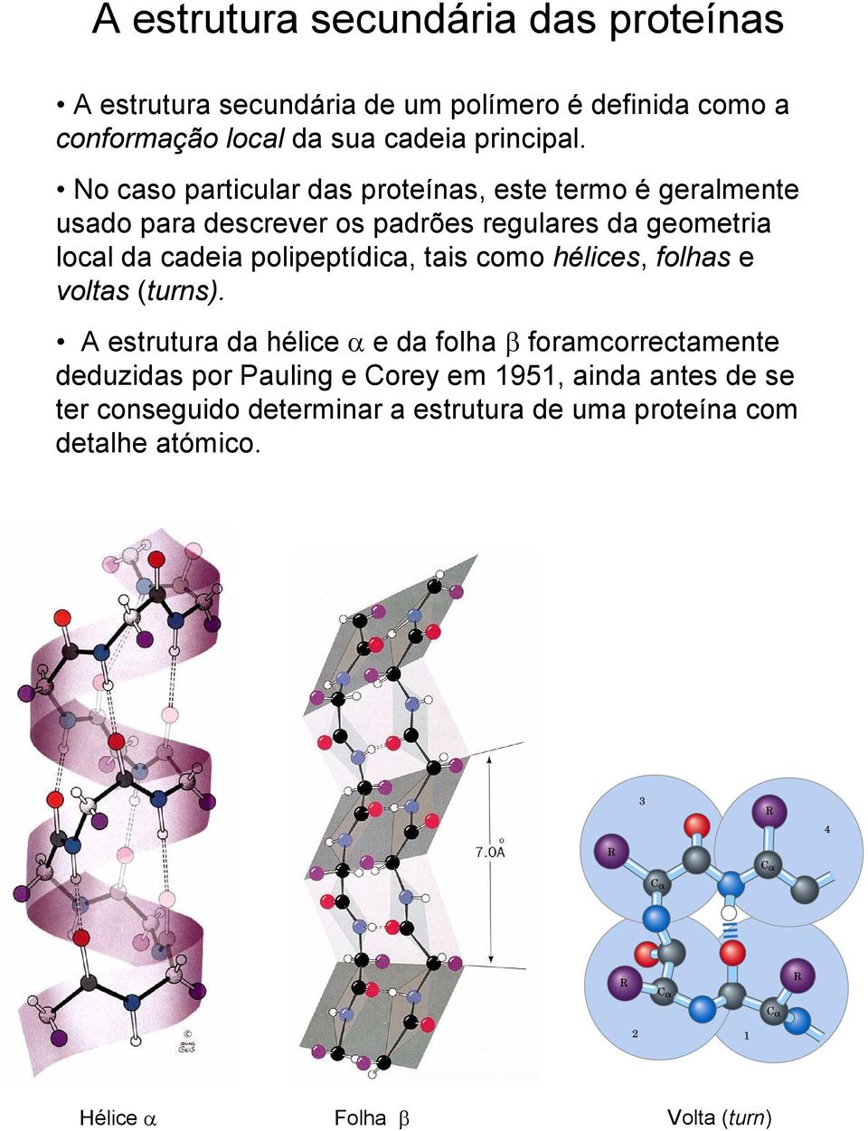 polipeptídica, tais como hélices, folhas e voltas (turns).