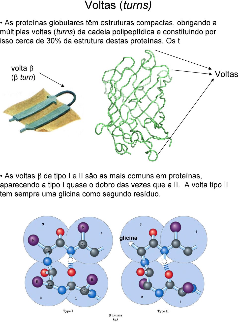 Os t volta β (β turn) Voltas As voltas β de tipo I e II são as mais comuns em proteínas, aparecendo a