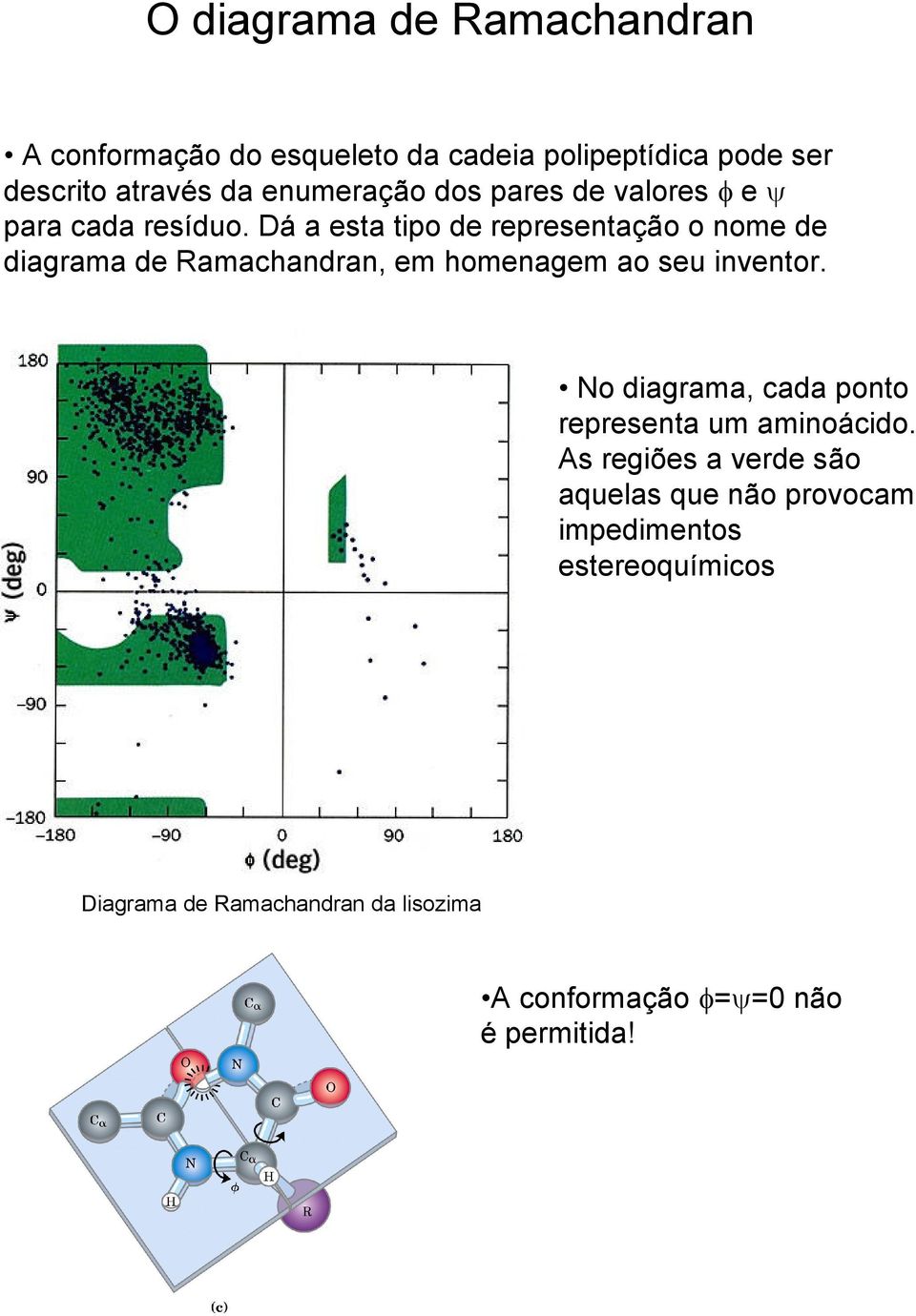 Dá a esta tipo de representação o nome de diagrama de Ramachandran, em homenagem ao seu inventor.