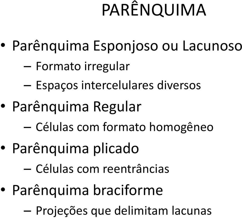 Regular Células com formato homogêneo Parênquima plicado