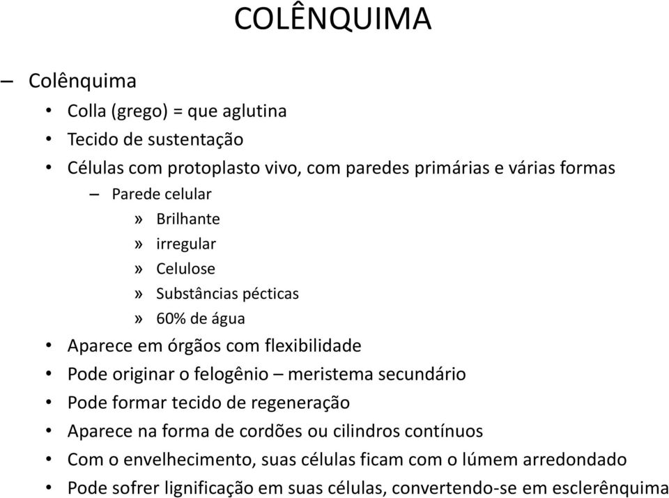 Pode originar o felogênio meristema secundário Pode formar tecido de regeneração Aparece na forma de cordões ou cilindros contínuos