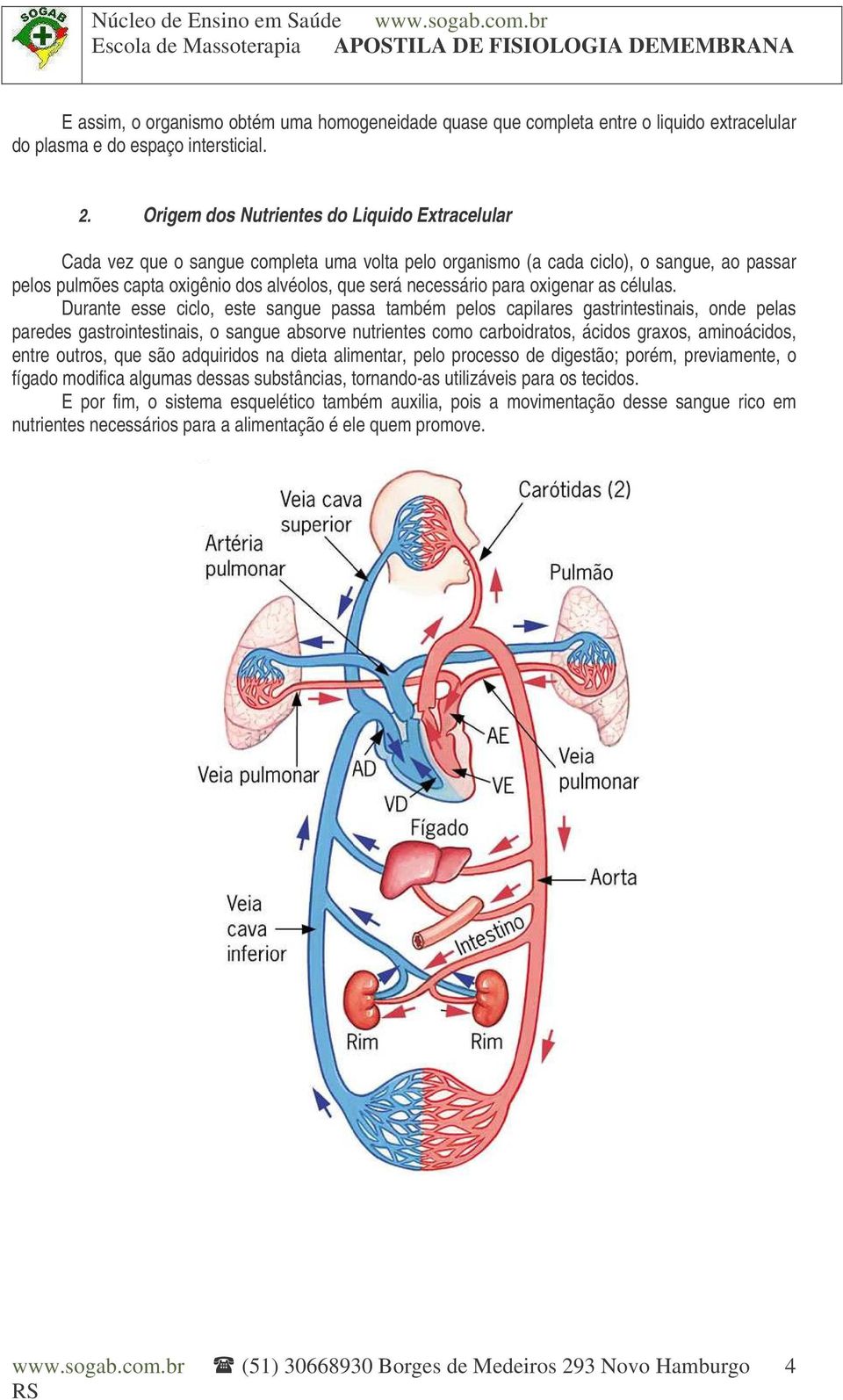 necessário para oxigenar as células.