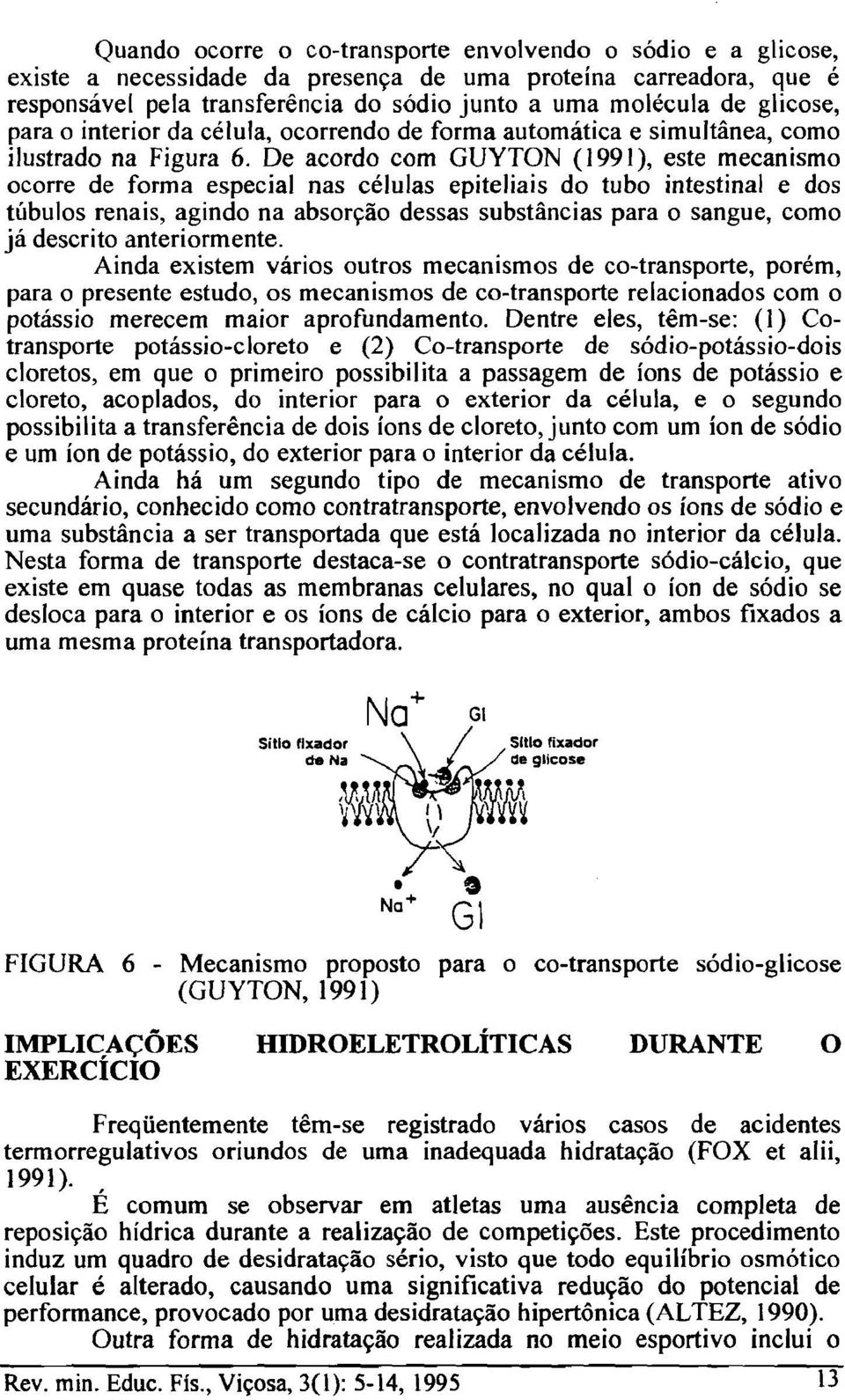 De acordo com GUYTON (1991), este mecanismo ocorre de forma especial nas células epiteliais do tubo intestinal e dos túbulos renais, agindo na absorção dessas substâncias para o sangue, como já