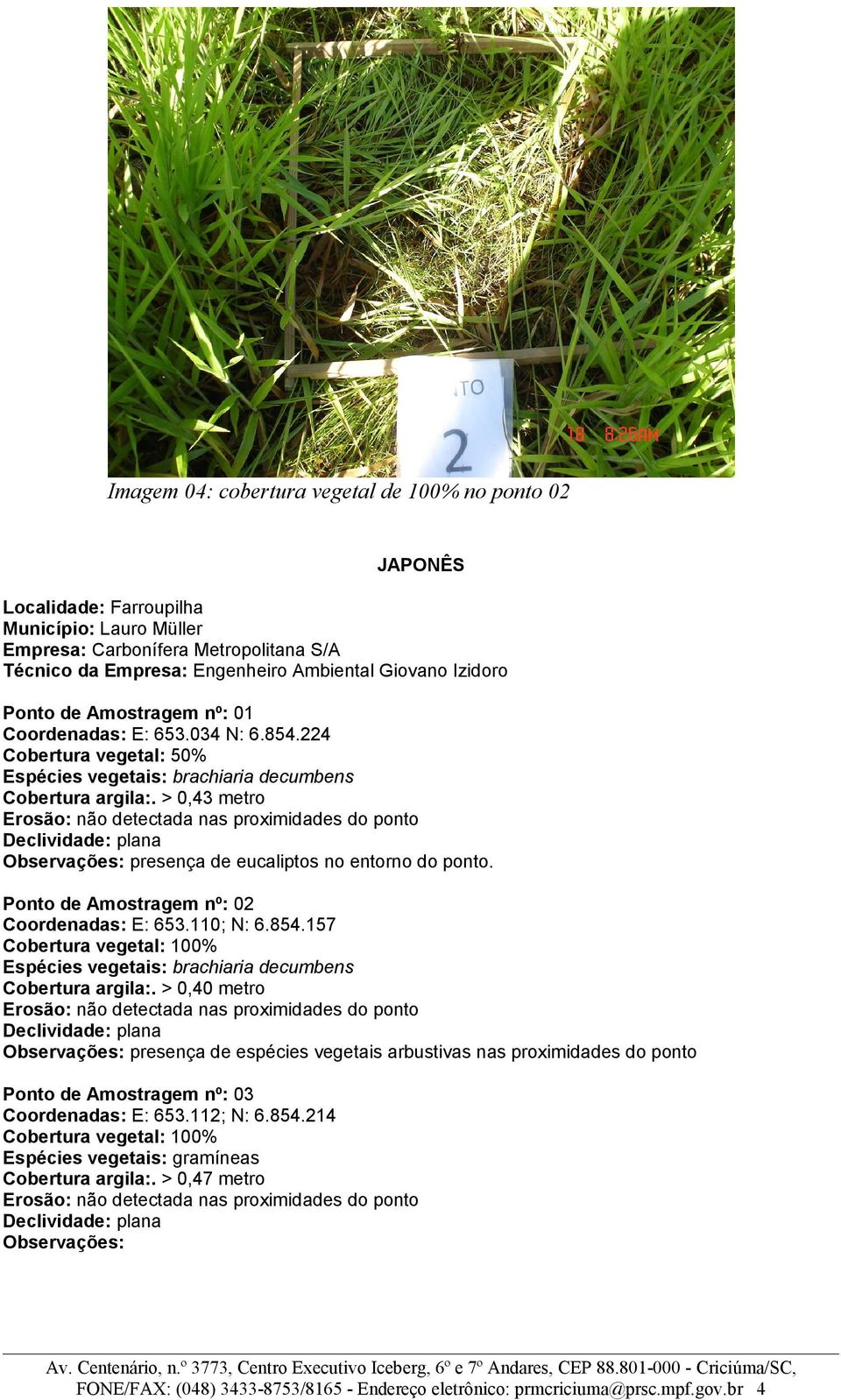 > 0,43 metro Declividade: plana Observações: presença de eucaliptos no entorno do ponto. Ponto de Amostragem nº: 02 Coordenadas: E: 653.110; N: 6.854.