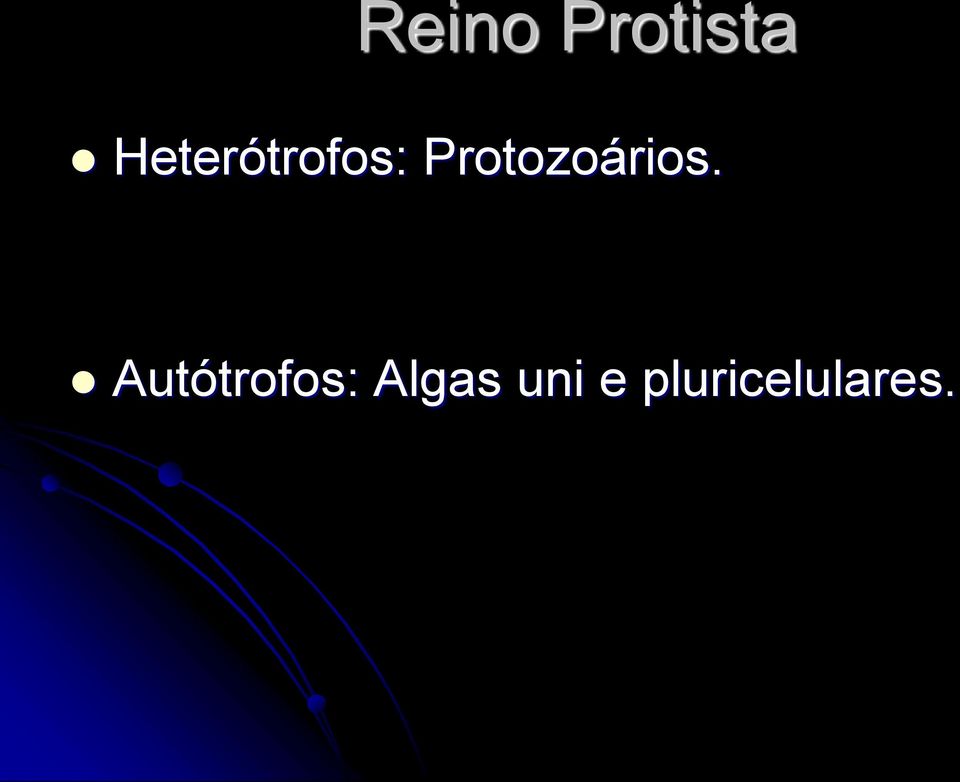 Protozoários.