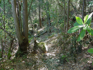 No âmbito do Projeto Bioparque Monchique foram disponibilizadas verbas para a elaboração de um conceito ecológico e sustentável, para o concelho de Monchique.