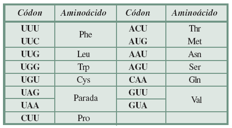 a) Fermentação Alcoólica. b) Etanol (C 6 H 5 OH) e dióxido de carbono (CO 2 ).