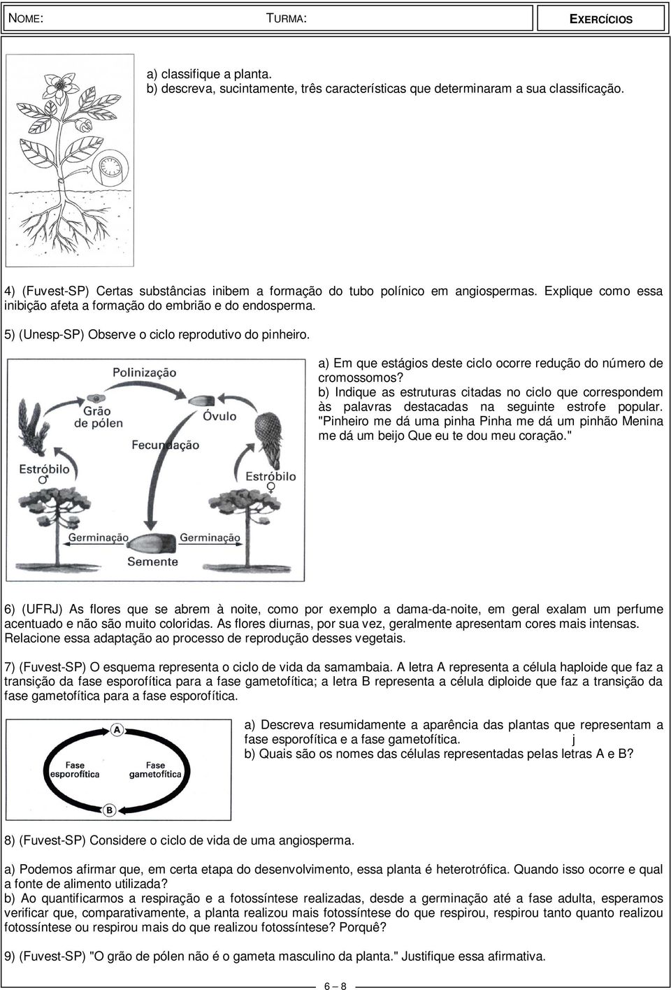 b) Indique as estruturas citadas no ciclo que correspondem às palavras destacadas na seguinte estrofe popular.