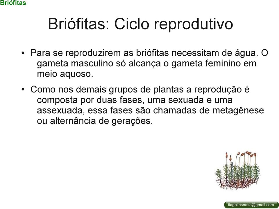 O gameta masculino só alcança o gameta feminino em meio aquoso.