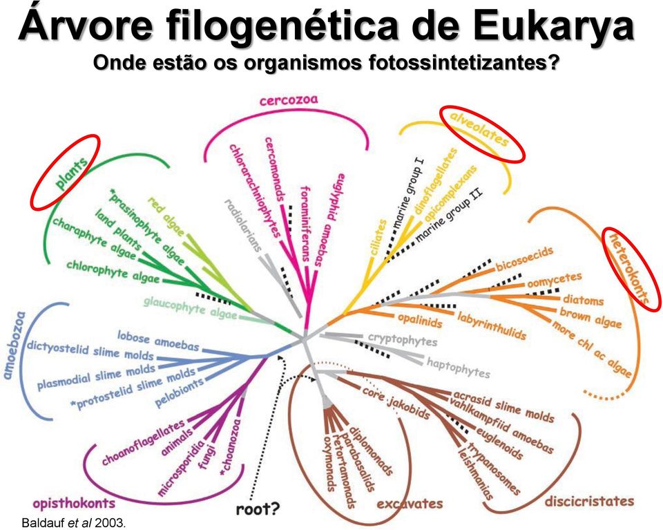 organismos