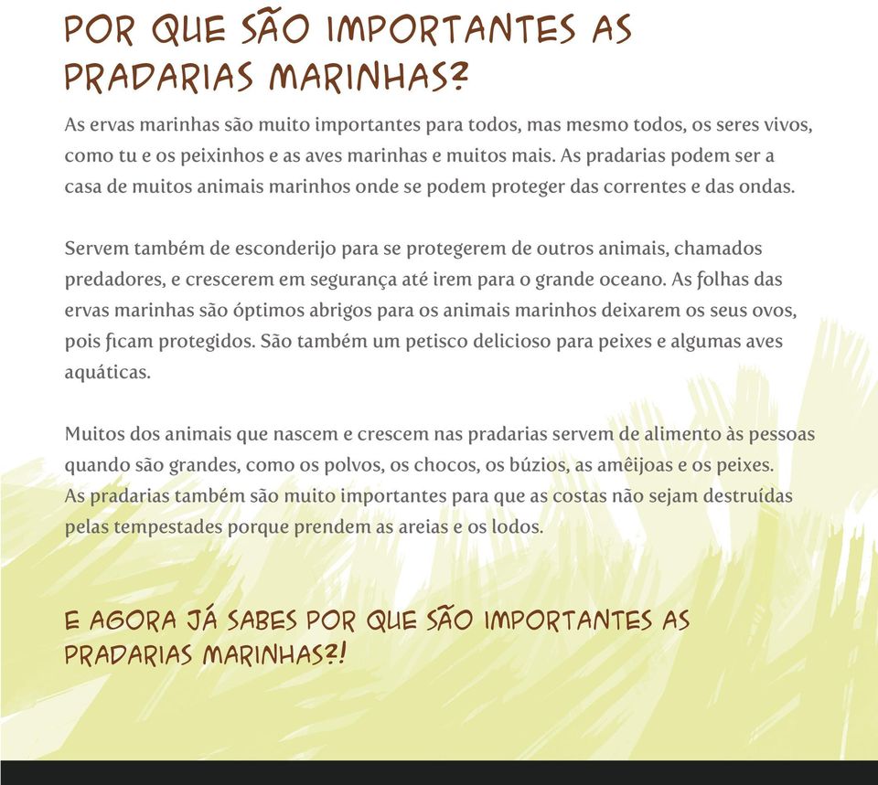 Servem também de esconderijo para se protegerem de outros animais, chamados predadores, e crescerem em segurança até irem para o grande oceano.