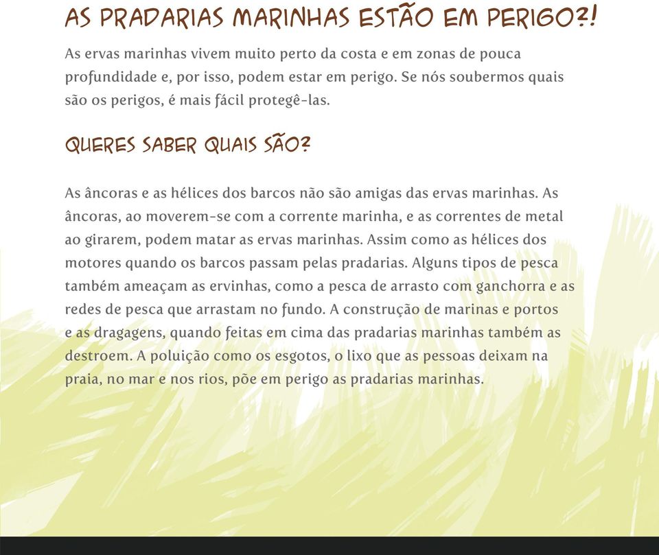 As âncoras, ao moverem-se com a corrente marinha, e as correntes de metal ao girarem, podem matar as ervas marinhas. Assim como as hélices dos motores quando os barcos passam pelas pradarias.