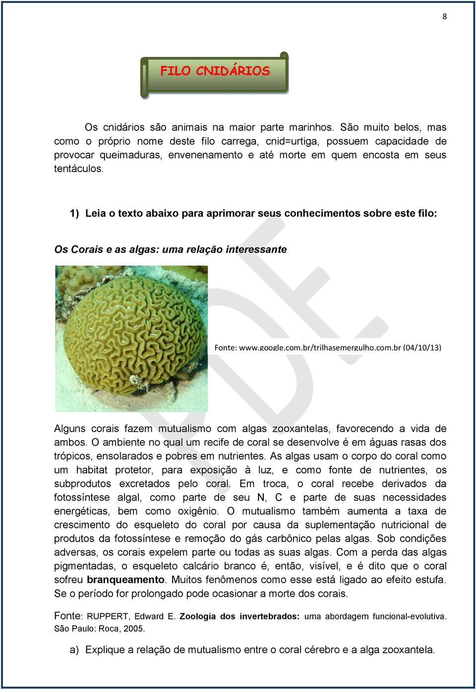 1) Leia o texto abaixo para aprimorar seus conhecimentos sobre este filo: Os Corais e as algas: uma relação interessante Fonte: www.google.com.