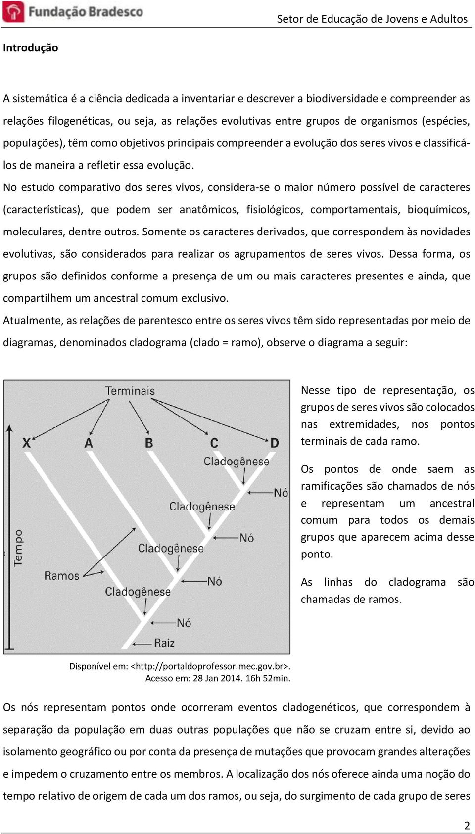 No estudo comparativo dos seres vivos, considera-se o maior número possível de caracteres (características), que podem ser anatômicos, fisiológicos, comportamentais, bioquímicos, moleculares, dentre