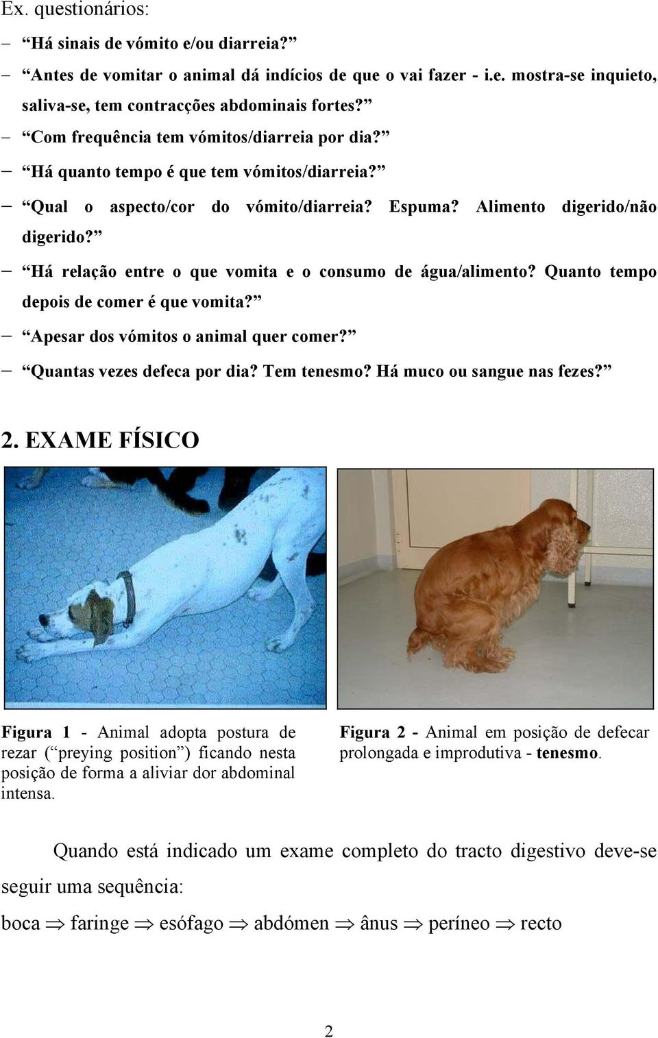 Há relação entre o que vomita e o consumo de água/alimento? Quanto tempo depois de comer é que vomita? Apesar dos vómitos o animal quer comer? Quantas vezes defeca por dia? Tem tenesmo?