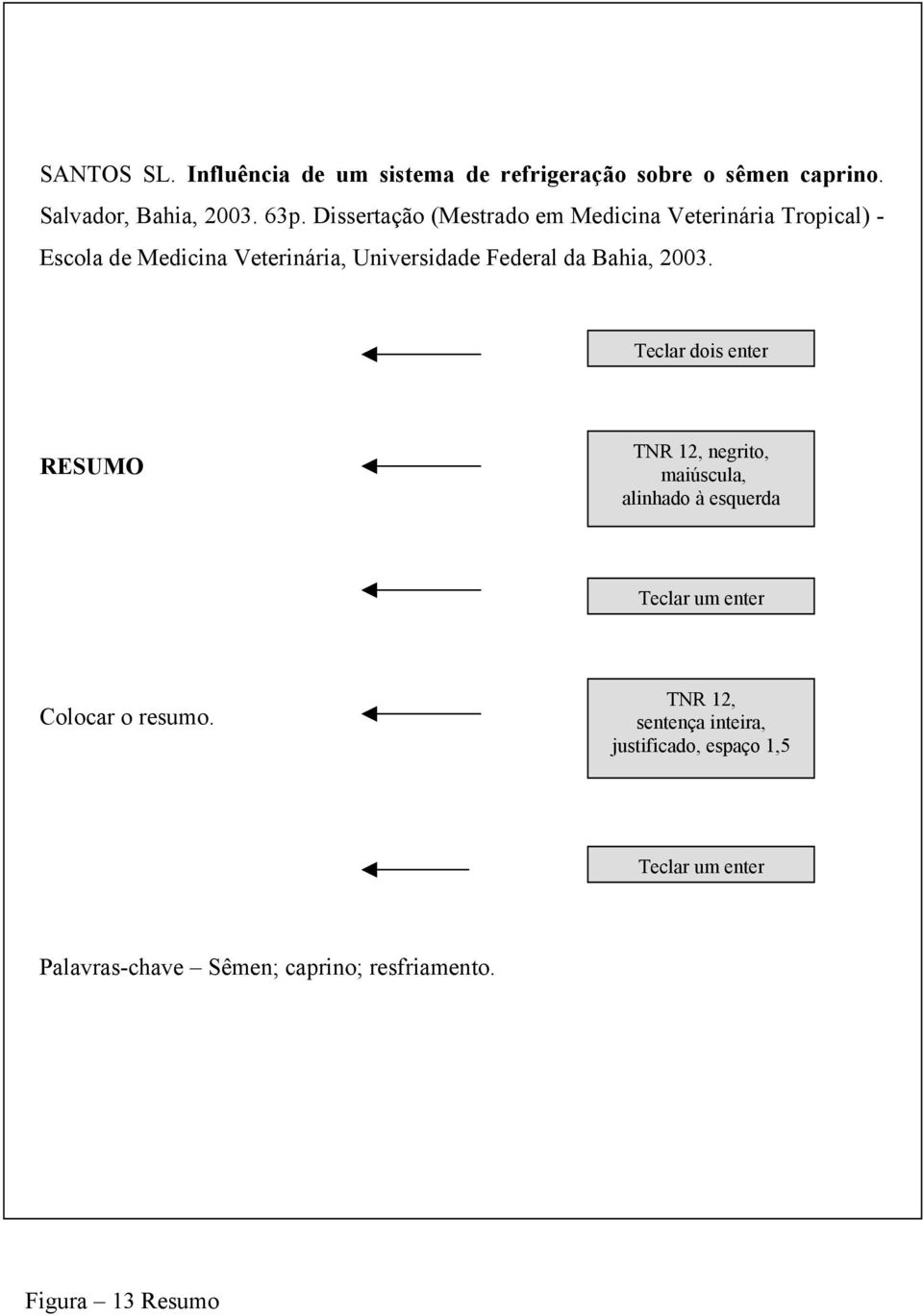 Federal da Bahia, 2003. RESUMO maiúscula, alinhado à esquerda Teclar um enter Colocar o resumo.