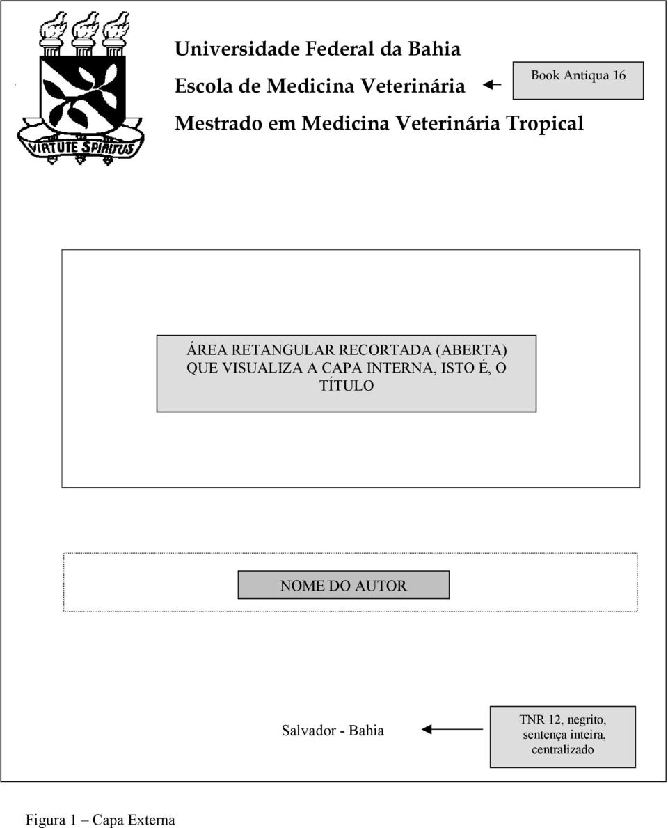 RETANGULAR RECORTADA (ABERTA) QUE VISUALIZA A CAPA INTERNA,