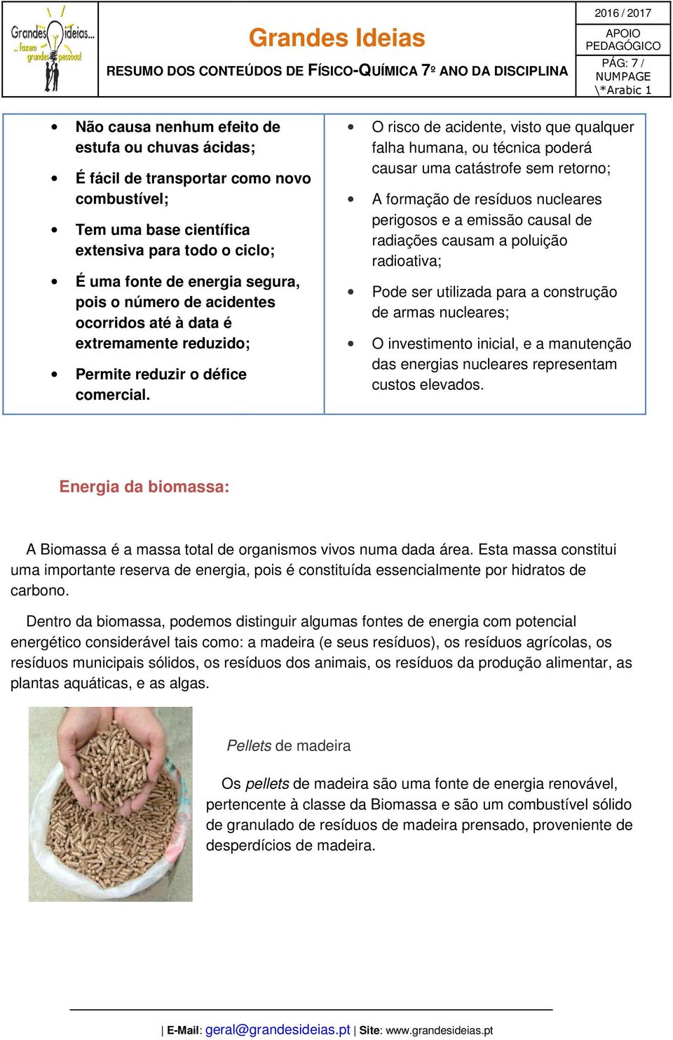 O risco de acidente, visto que qualquer falha humana, ou técnica poderá causar uma catástrofe sem retorno; A formação de resíduos nucleares perigosos e a emissão causal de radiações causam a poluição