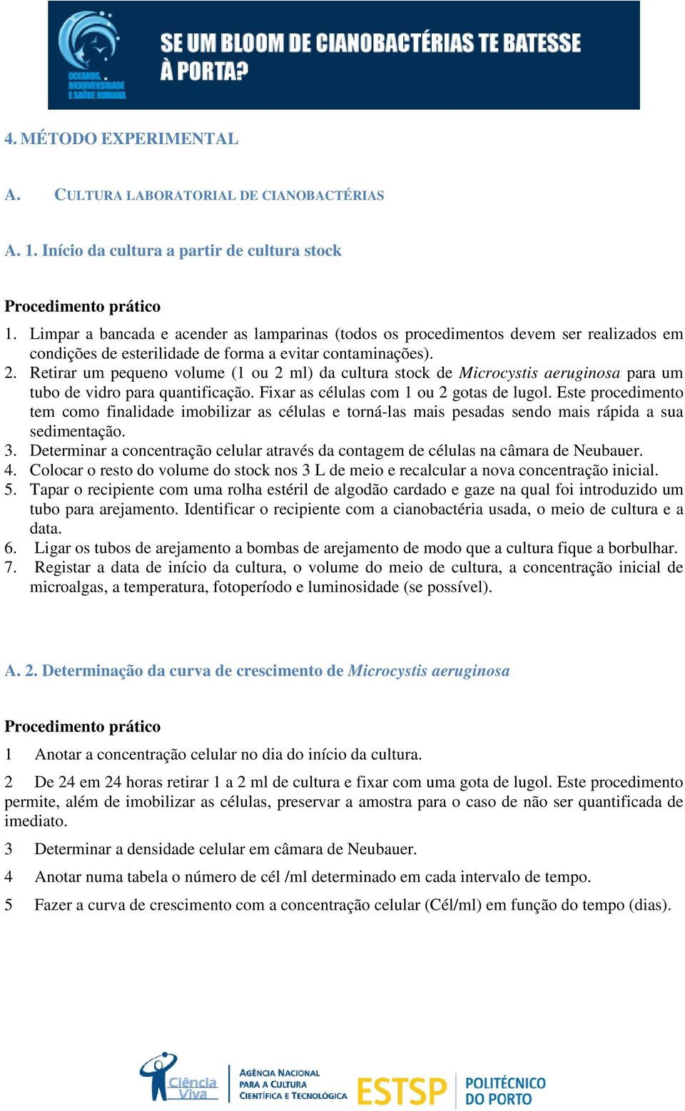 Retirar um pequeno volume (1 ou 2 ml) da cultura stock de Microcystis aeruginosa para um tubo de vidro para quantificação. Fixar as células com 1 ou 2 gotas de lugol.