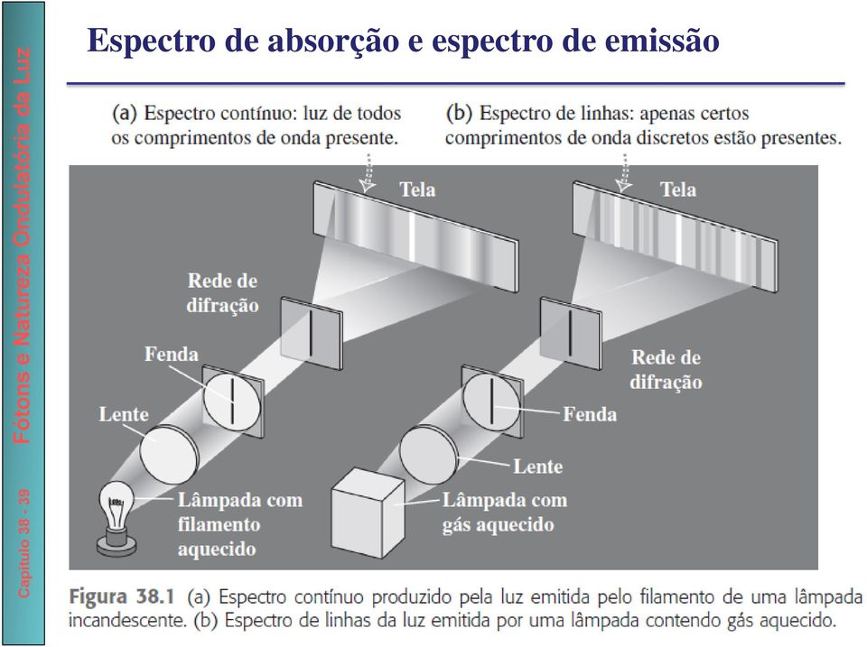 absorção e