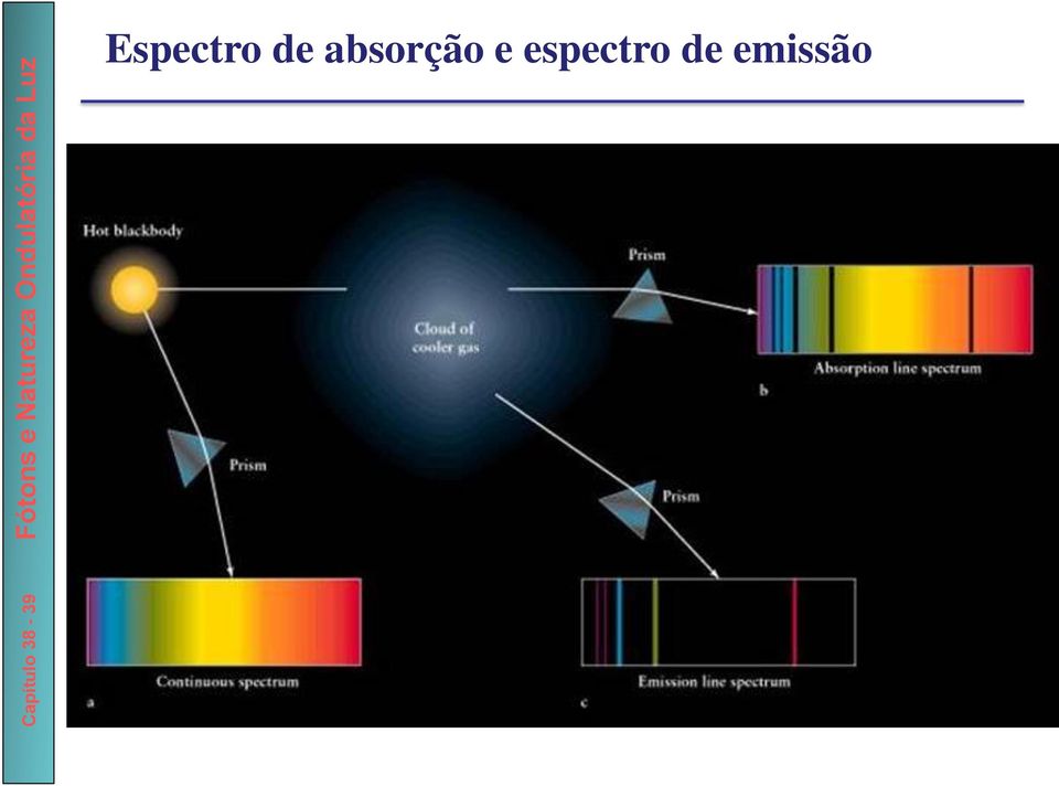 absorção e