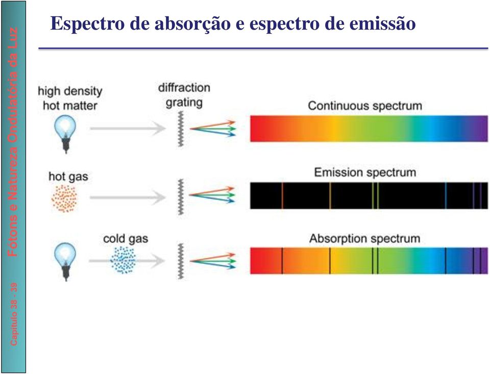 absorção e