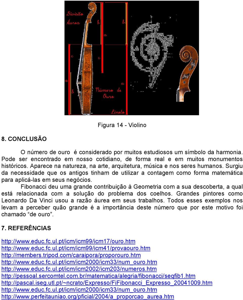 Fibonacci deu uma grande contribuição à Geometria com a sua descoberta, a qual está relacionada com a solução do problema dos coelhos.