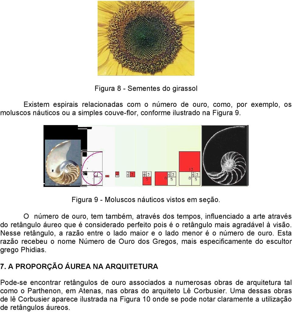 O número de ouro, tem também, através dos tempos, influenciado a arte através do retângulo áureo que é considerado perfeito pois é o retângulo mais agradável à visão.