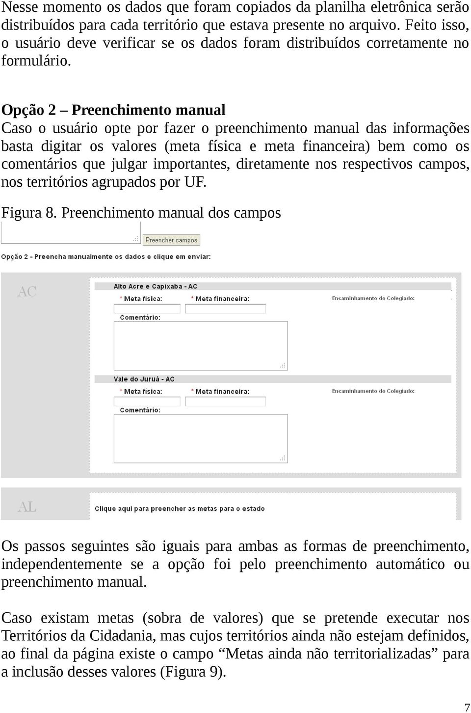 Opção 2 Preenchimento manual Caso o usuário opte por fazer o preenchimento manual das informações basta digitar os valores (meta física e meta financeira) bem como os comentários que julgar