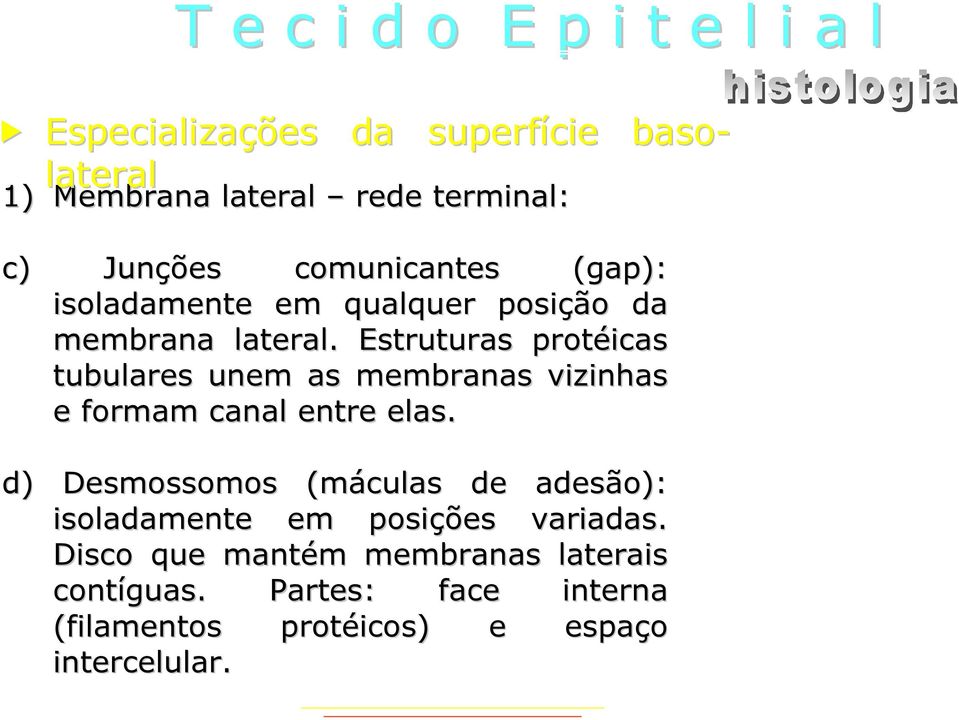 Estruturas protéicas tubulares unem as membranas vizinhas e formam canal entre elas.