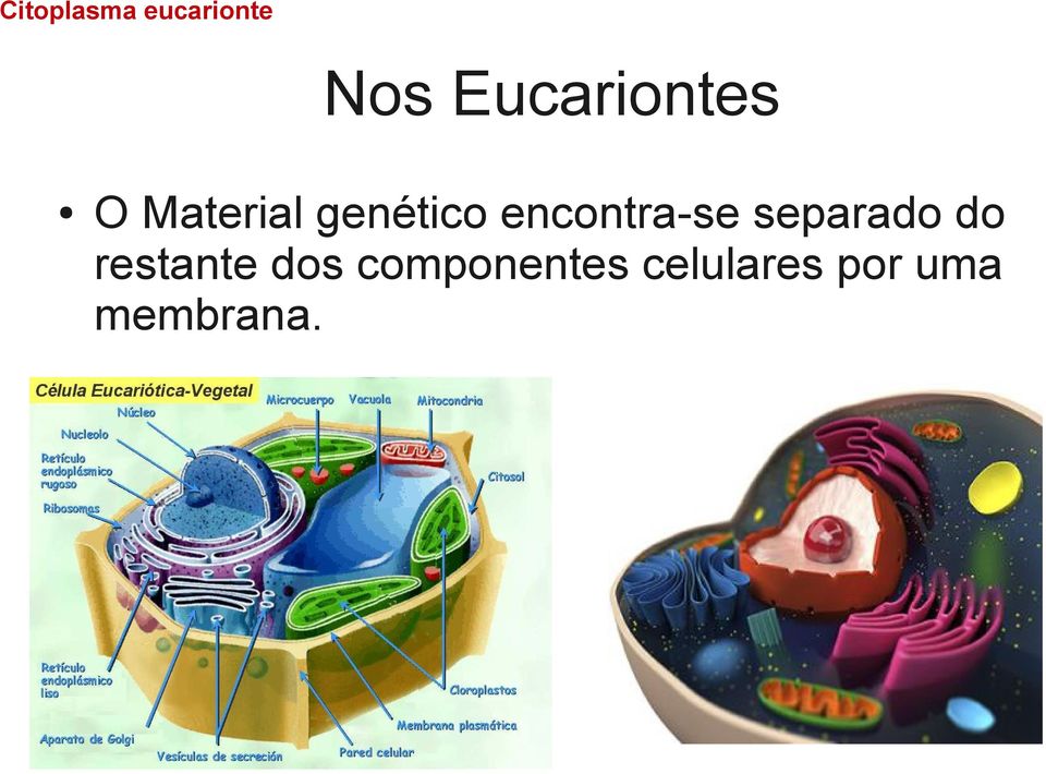 encontra-se separado do restante