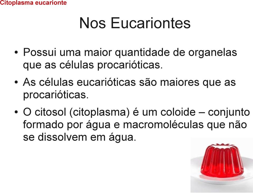 As células eucarióticas são maiores que as procarióticas.