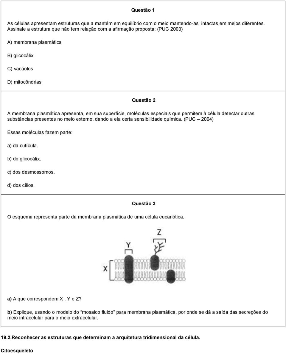 superfície, moléculas especiais que permitem à célula detectar outras substâncias presentes no meio externo, dando a ela certa sensibilidade química.