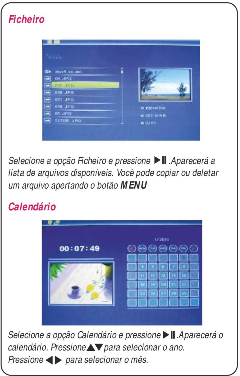 Você pode copiar ou deletar um arquivo apertando o botão MENU Calendário