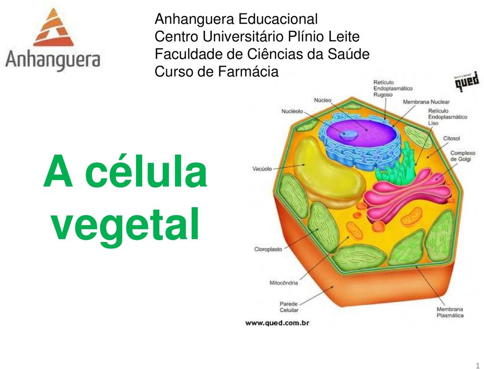 Faculdade de Ciências da Saúde