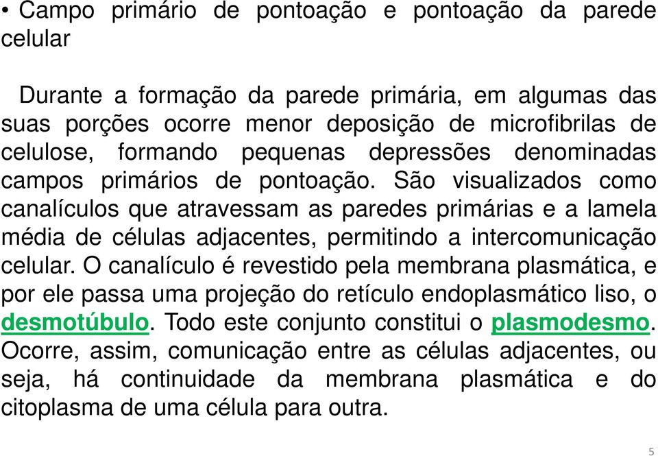 São visualizados como canalículos que atravessam as paredes primárias e a lamela média de células adjacentes, permitindo a intercomunicação celular.