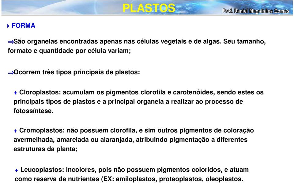 estes os principais tipos de plastos e a principal organela a realizar ao processo de fotossíntese.