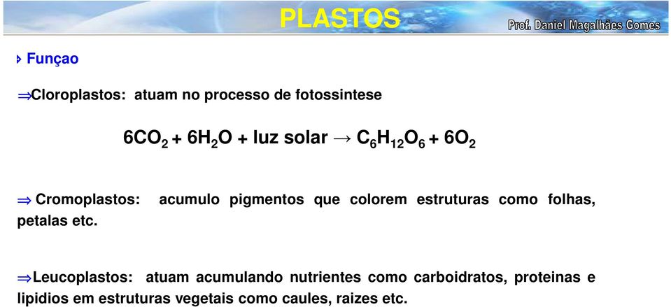 acumulo pigmentos que colorem estruturas como folhas, Leucoplastos: atuam