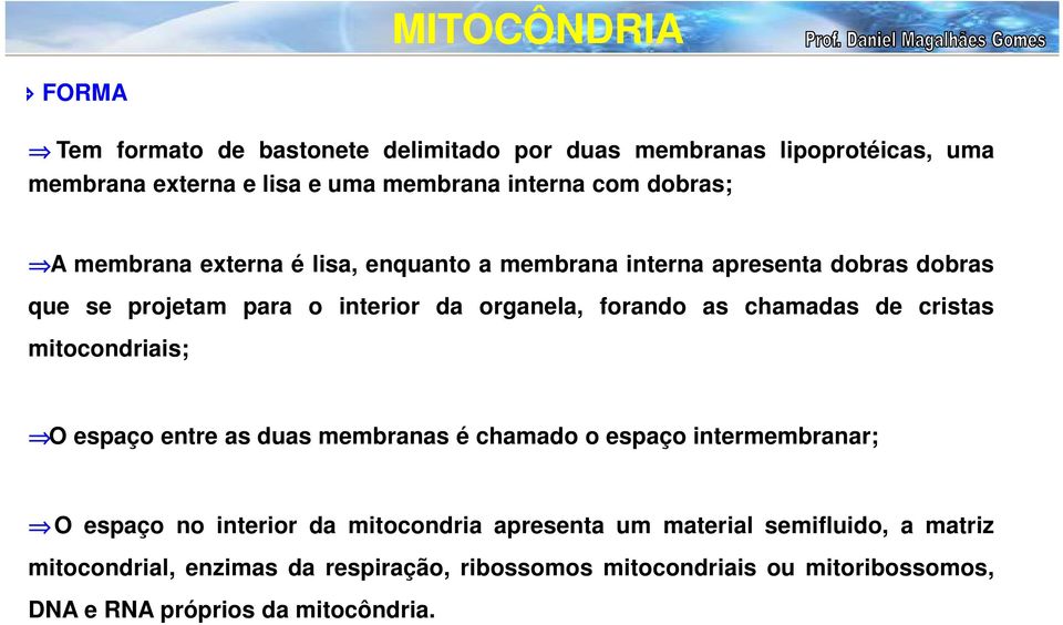 chamadas de cristas mitocondriais; O espaço entre as duas membranas é chamado o espaço intermembranar; O espaço no interior da mitocondria