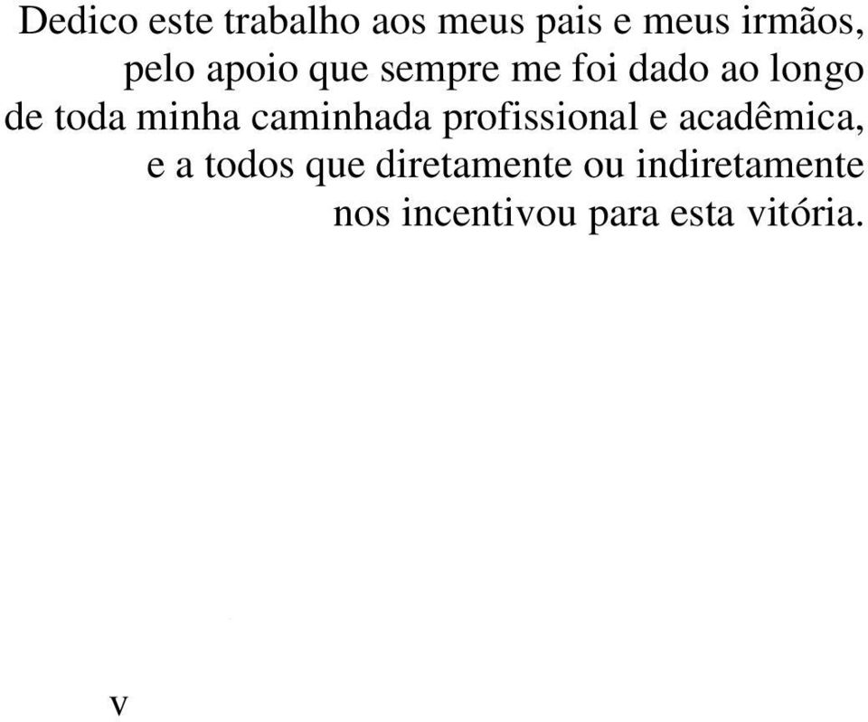 caminhada profissional e acadêmica, e a todos que