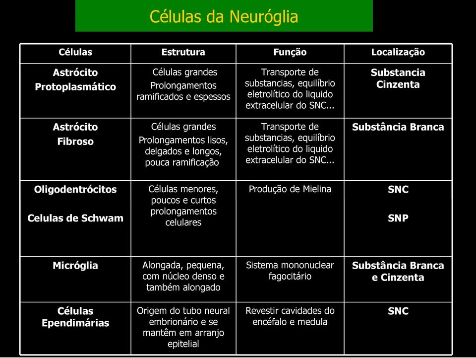 .. Substancia Cinzenta Astrócito Fibroso Células grandes Prolongamentos lisos, delgados e longos, pouca ramificação Transporte de substancias, equilíbrio eletrolítico do liquido .