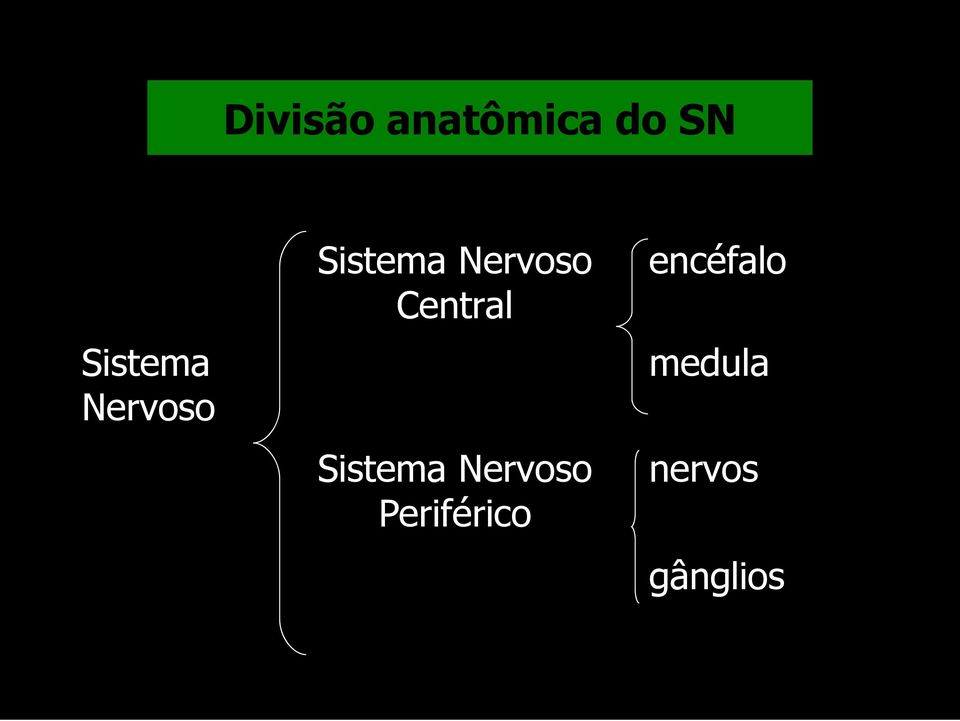 Nervoso Central Sistema