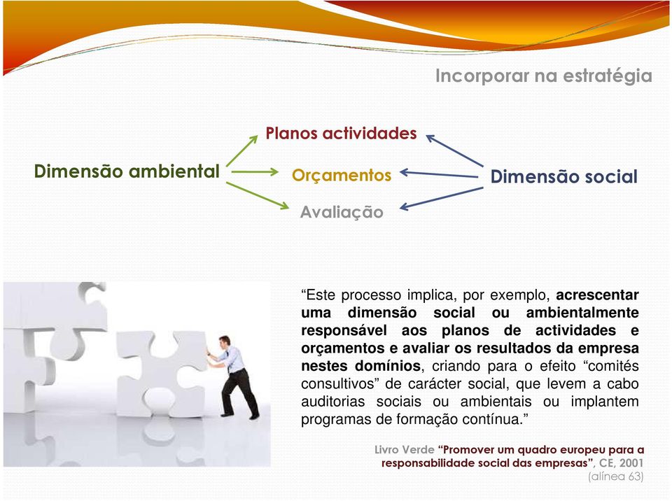 nestes domínios, criando para o efeito comités consultivos de carácter social, que levem a cabo auditorias sociais ou ambientais ou