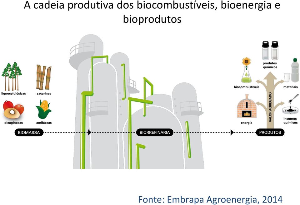 bioenergia e bioprodutos