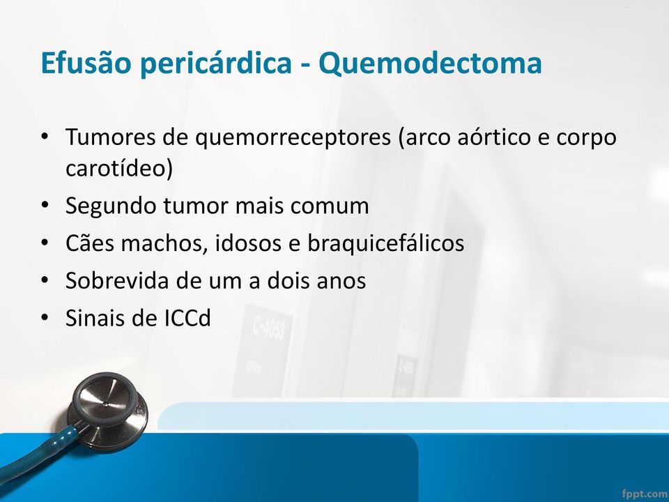 Segundo tumor mais comum Cães machos, idosos e